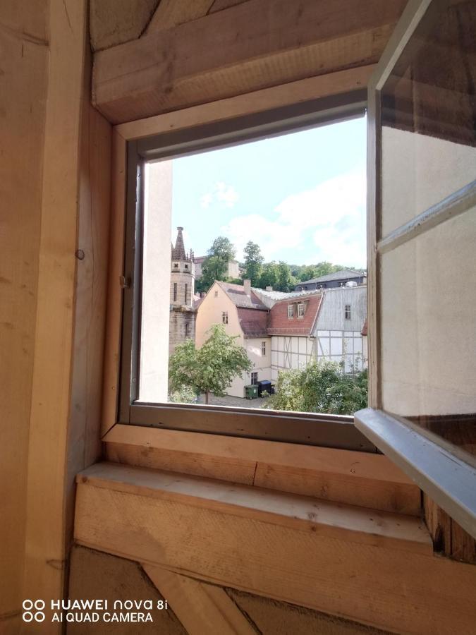 Aussergewoehnliches, Historisches, Spaetgotisches Wohnhaus Von 1519, Gries 5 Гера Экстерьер фото