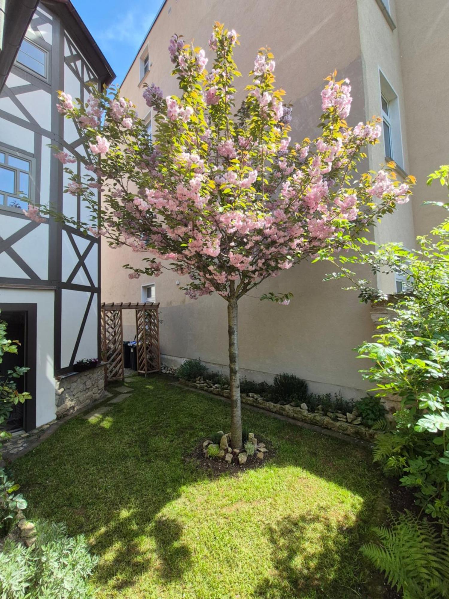 Aussergewoehnliches, Historisches, Spaetgotisches Wohnhaus Von 1519, Gries 5 Гера Экстерьер фото